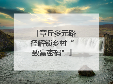 章丘多元路径解锁乡村“致富密码”