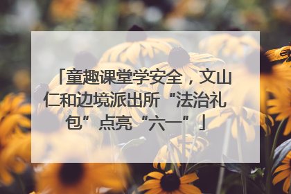 童趣课堂学安全，文山仁和边境派出所“法治礼包”点亮“六一”