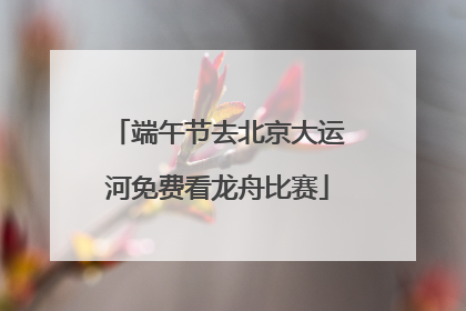 端午节去北京大运河免费看龙舟比赛