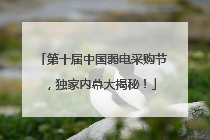 第十届中国弱电采购节，独家内幕大揭秘！