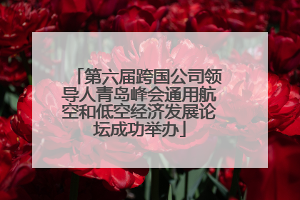第六届跨国公司领导人青岛峰会通用航空和低空经济发展论坛成功举办