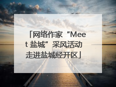网络作家“Meet 盐城”采风活动走进盐城经开区