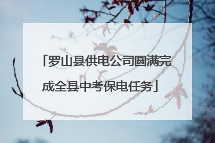 罗山县供电公司圆满完成全县中考保电任务