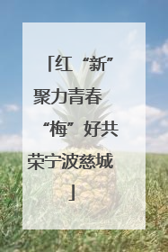 红“新”聚力青春 “梅”好共荣宁波慈城