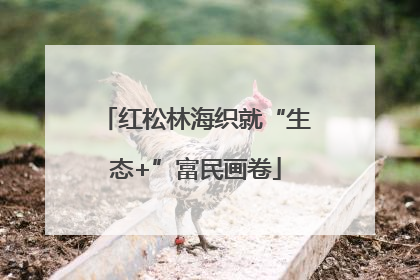 红松林海织就“生态+”富民画卷
