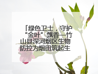 绿色卫士，守护“金叶”飘香—竹山县深河烟区生物防控为烟田筑起生态屏障