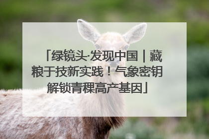 绿镜头·发现中国｜藏粮于技新实践！气象密钥解锁青稞高产基因
