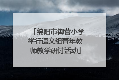 绵阳市御营小学举行语文组青年教师教学研讨活动
