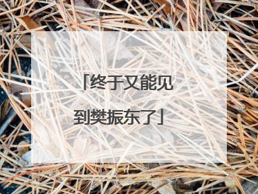 终于又能见到樊振东了