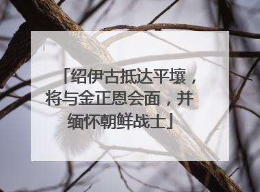绍伊古抵达平壤，将与金正恩会面，并缅怀朝鲜战士