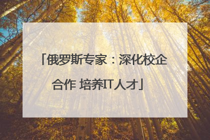 俄罗斯专家：深化校企合作 培养IT人才
