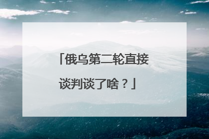 俄乌第二轮直接谈判谈了啥？