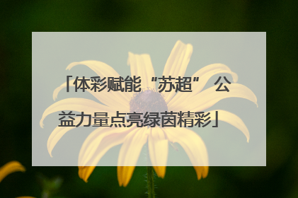体彩赋能“苏超” 公益力量点亮绿茵精彩