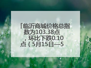 临沂商城价格总指数为103.38点，环比下跌0.10点（5月15日—5月21日）