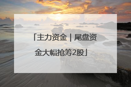 主力资金｜尾盘资金大幅抢筹2股