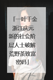 一叶千金 浙江庆元新的社会阶层人士破解荒野茶致富密码