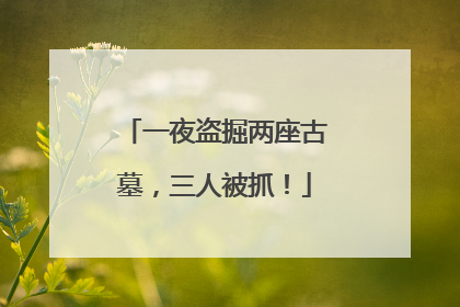 一夜盗掘两座古墓，三人被抓！
