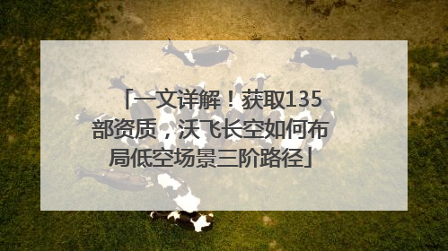 一文详解！获取135部资质，沃飞长空如何布局低空场景三阶路径