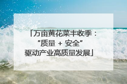 万亩黄花菜丰收季：“质量 + 安全” 驱动产业高质量发展