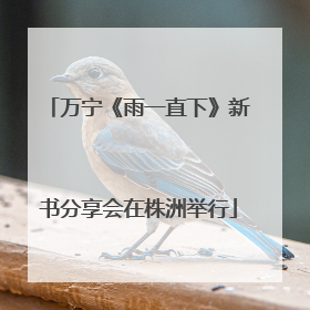 万宁《雨一直下》新书分享会在株洲举行