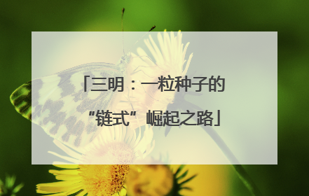 三明：一粒种子的“链式”崛起之路