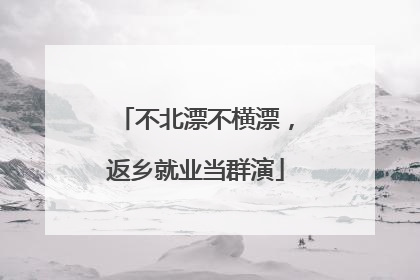不北漂不横漂，返乡就业当群演