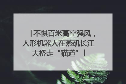 不惧百米高空强风，人形机器人在燕矶长江大桥走“猫道”