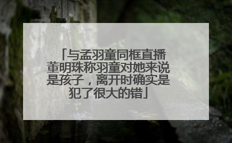 与孟羽童同框直播 董明珠称羽童对她来说是孩子，离开时确实是犯了很大的错