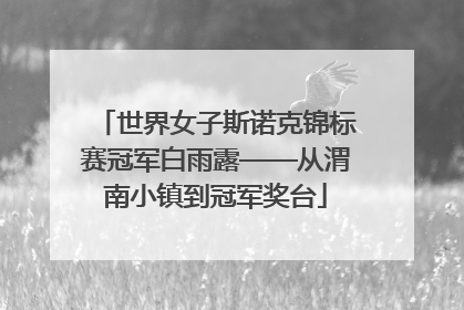 世界女子斯诺克锦标赛冠军白雨露——从渭南小镇到冠军奖台