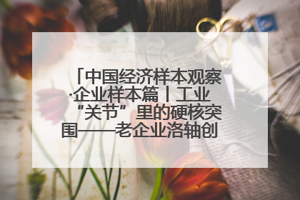 中国经济样本观察·企业样本篇丨工业“关节”里的硬核突围——老企业洛轴创新蝶变启示录