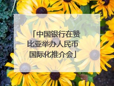 中国银行在赞比亚举办人民币国际化推介会