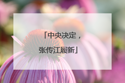 中央决定，张传江履新