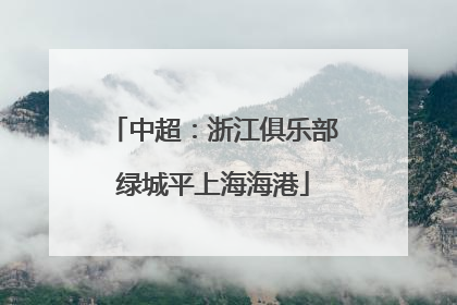 中超：浙江俱乐部绿城平上海海港