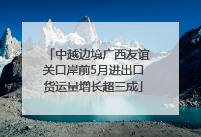 中越边境广西友谊关口岸前5月进出口货运量增长超三成