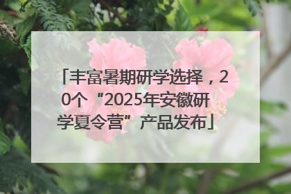 丰富暑期研学选择，20个“2025年安徽研学夏令营”产品发布