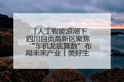 人工智能浪潮下 四川自贡高新区聚焦“车机龙医算数”布局未来产业丨美好生活有“盐”味