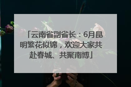 云南省副省长：6月昆明繁花似锦，欢迎大家共赴春城、共聚南博