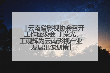 云南省影视协会召开工作座谈会 于荣光、王砚辉为云南影视产业发展出谋划策