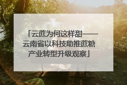 云蔗为何这样甜——云南省以科技助推蔗糖产业转型升级观察