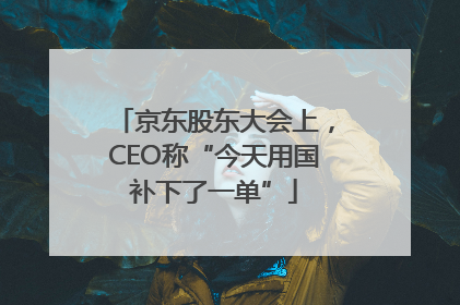 京东股东大会上，CEO称“今天用国补下了一单”