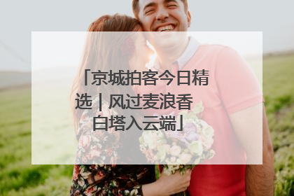 京城拍客今日精选｜风过麦浪香 白塔入云端