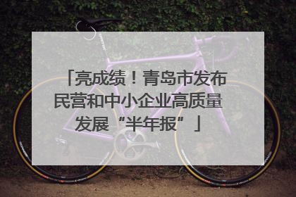 亮成绩！青岛市发布民营和中小企业高质量发展“半年报”