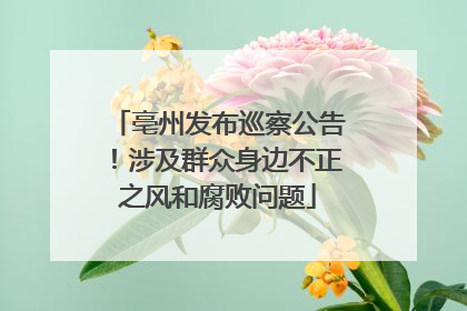 亳州发布巡察公告！涉及群众身边不正之风和腐败问题