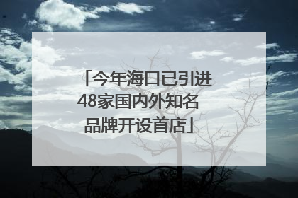 今年海口已引进48家国内外知名品牌开设首店