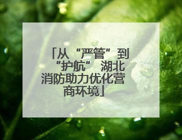 从“严管”到“护航” 湖北消防助力优化营商环境