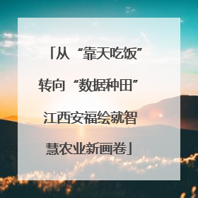 从“靠天吃饭”转向“数据种田” 江西安福绘就智慧农业新画卷