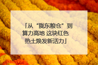 从“陇东粮仓”到算力高地 这块红色热土焕发新活力