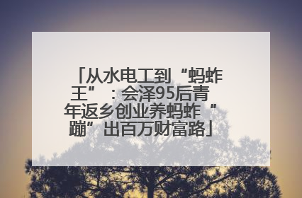 从水电工到“蚂蚱王”：会泽95后青年返乡创业养蚂蚱“蹦”出百万财富路