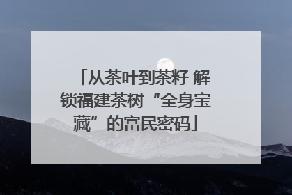 从茶叶到茶籽 解锁福建茶树“全身宝藏”的富民密码