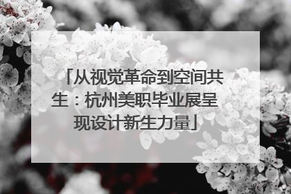 从视觉革命到空间共生：杭州美职毕业展呈现设计新生力量